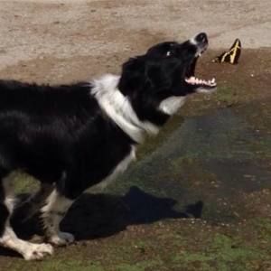 Meet your Posher, Gregg